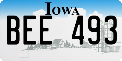 IA license plate BEE493