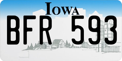 IA license plate BFR593