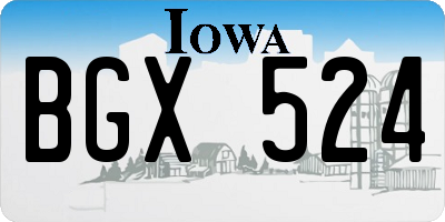 IA license plate BGX524