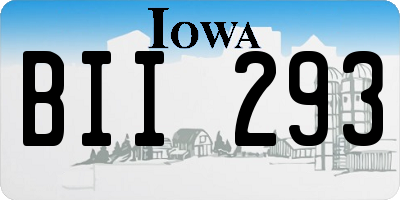 IA license plate BII293