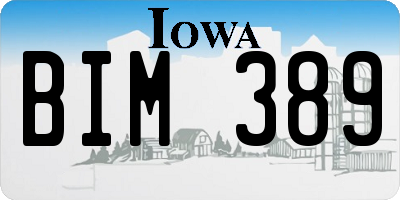 IA license plate BIM389