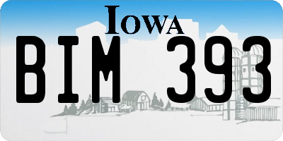 IA license plate BIM393