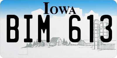 IA license plate BIM613