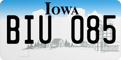 IA license plate BIU085
