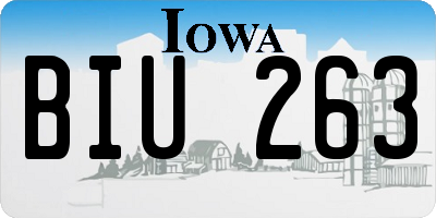 IA license plate BIU263