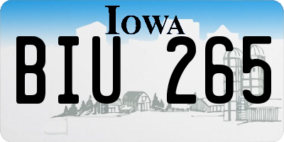 IA license plate BIU265