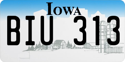 IA license plate BIU313