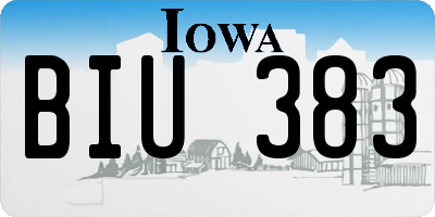 IA license plate BIU383