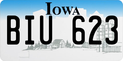 IA license plate BIU623