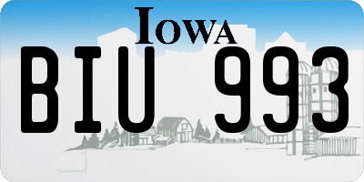 IA license plate BIU993
