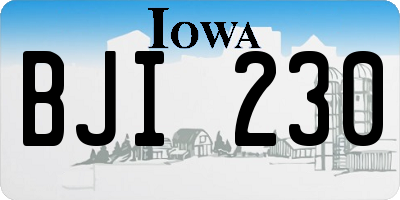 IA license plate BJI230