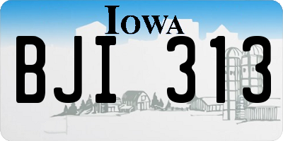 IA license plate BJI313