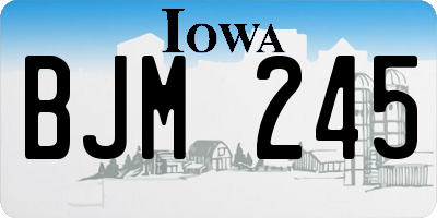 IA license plate BJM245
