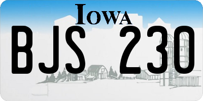 IA license plate BJS230