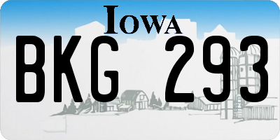 IA license plate BKG293