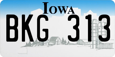 IA license plate BKG313