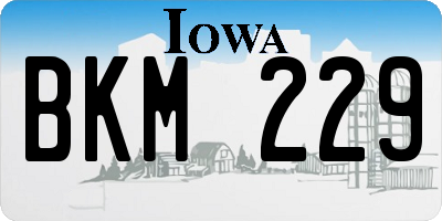 IA license plate BKM229
