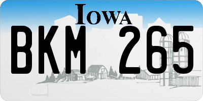 IA license plate BKM265