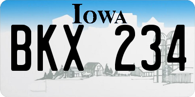 IA license plate BKX234