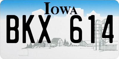 IA license plate BKX614