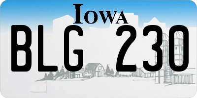 IA license plate BLG230