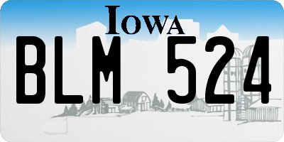 IA license plate BLM524