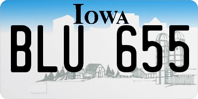 IA license plate BLU655