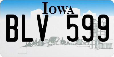 IA license plate BLV599
