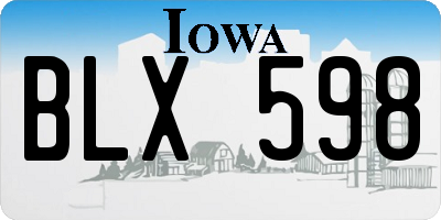 IA license plate BLX598