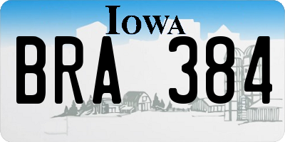 IA license plate BRA384