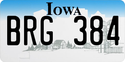 IA license plate BRG384