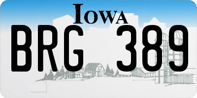 IA license plate BRG389