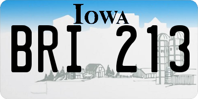 IA license plate BRI213
