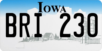 IA license plate BRI230