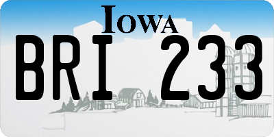IA license plate BRI233