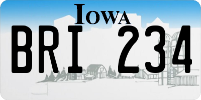 IA license plate BRI234