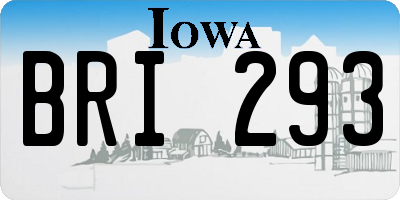 IA license plate BRI293