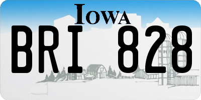 IA license plate BRI828