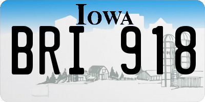 IA license plate BRI918