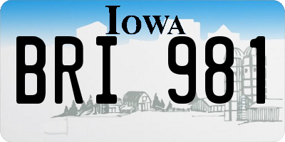 IA license plate BRI981