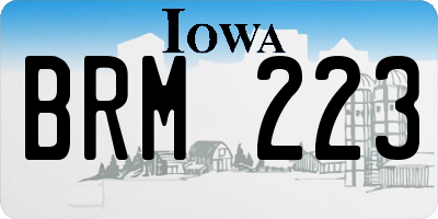 IA license plate BRM223