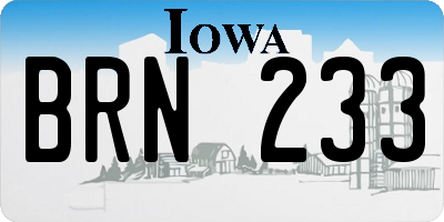 IA license plate BRN233
