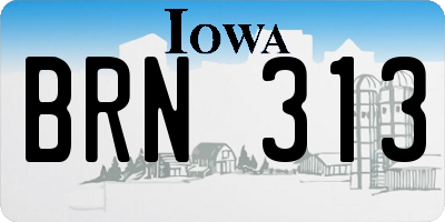 IA license plate BRN313