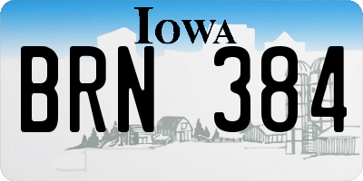 IA license plate BRN384
