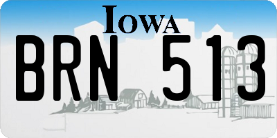 IA license plate BRN513