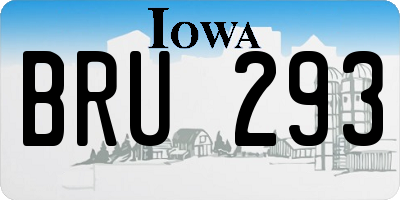 IA license plate BRU293
