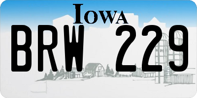 IA license plate BRW229
