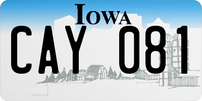 IA license plate CAY081