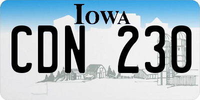 IA license plate CDN230