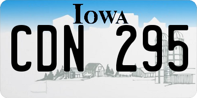 IA license plate CDN295